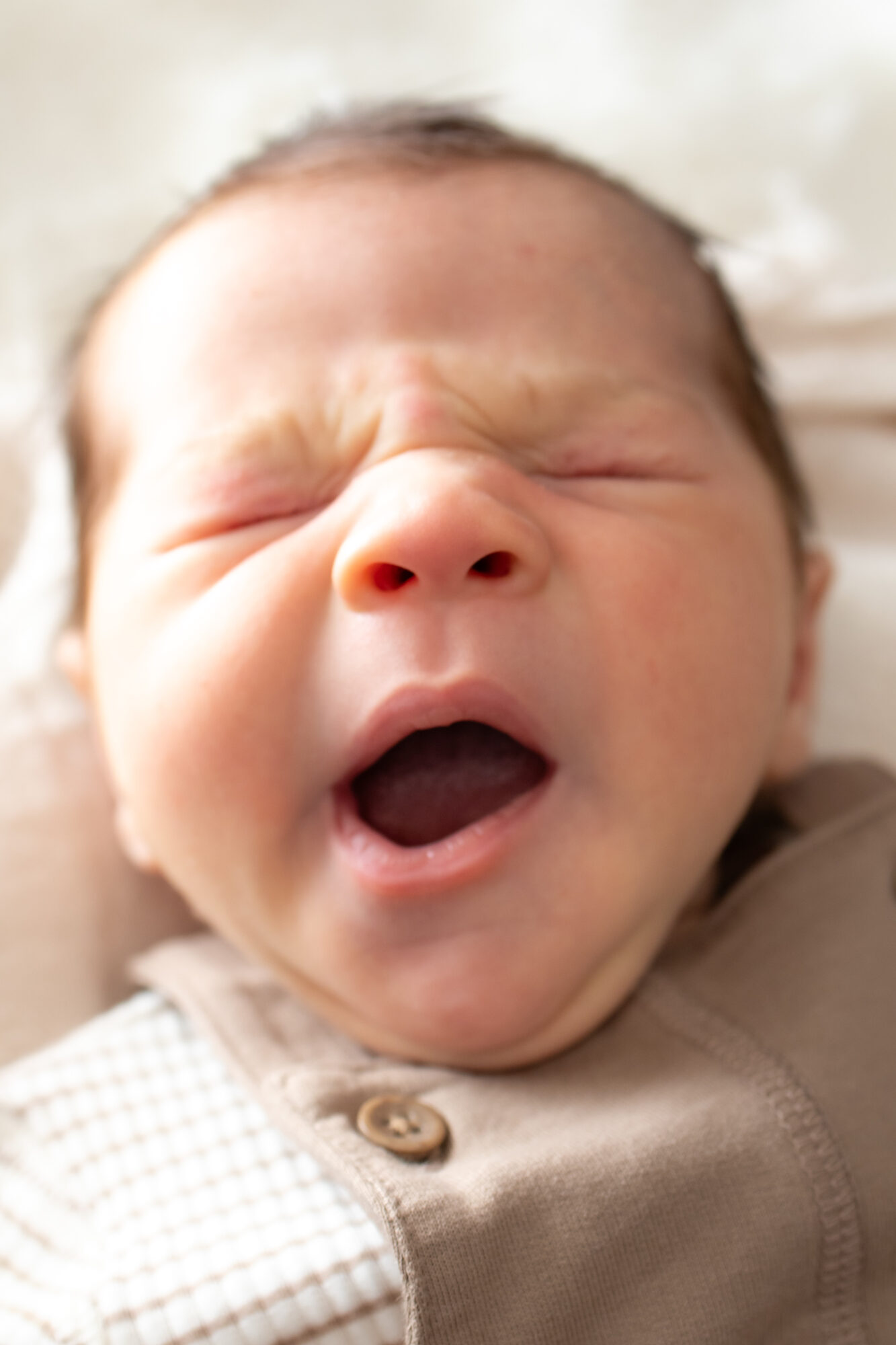 Kiera newborn session — Sydney newborn photographer