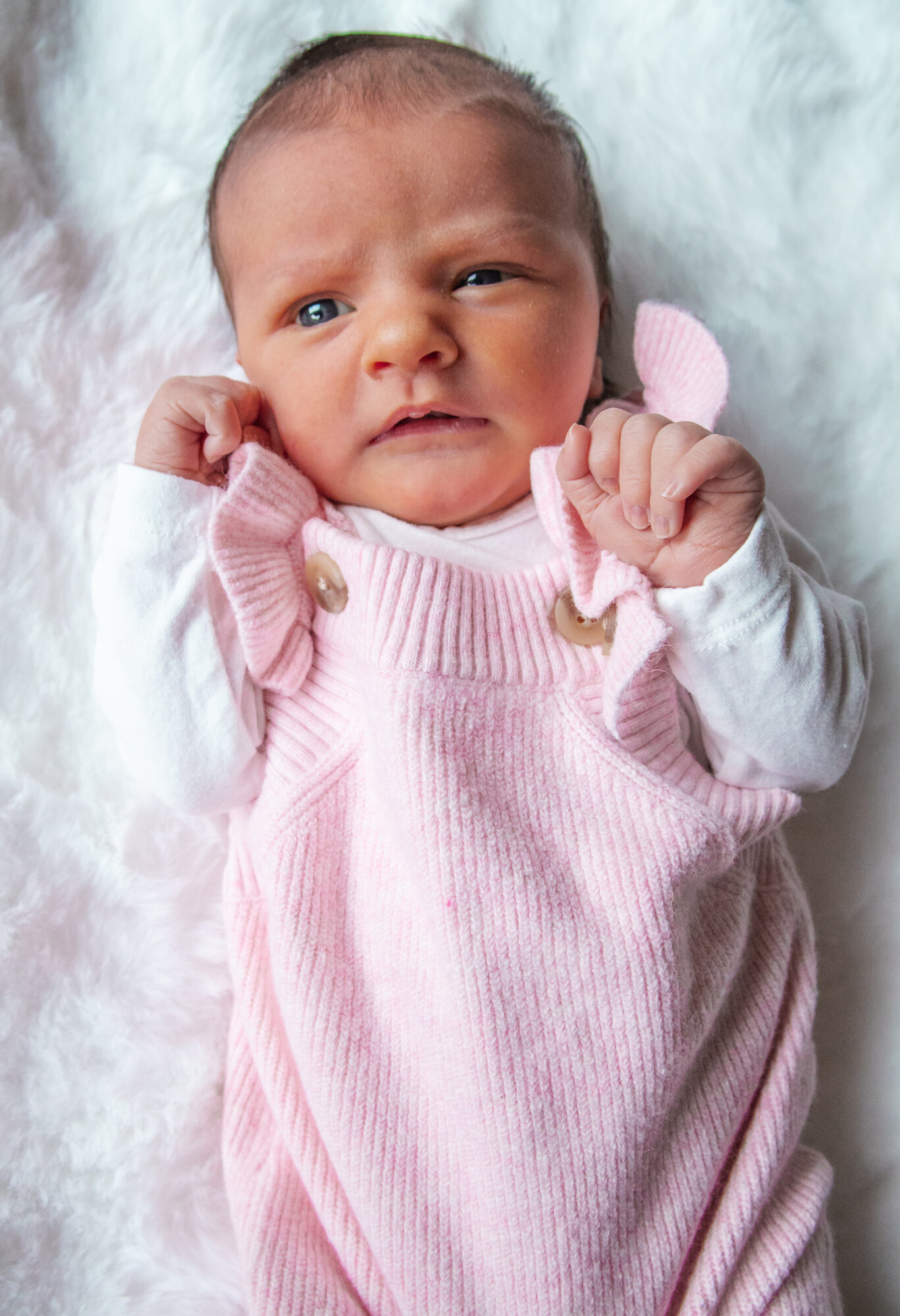 Baby Sophie newborn session — Sydney newborn photography
